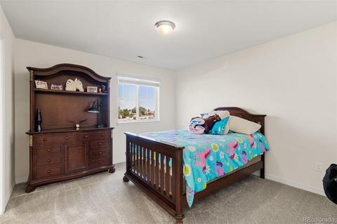 2591 E 163rd Pl, Thornton, CO 80602 photo 26