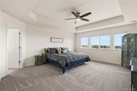 2591 E 163rd Pl, Thornton, CO 80602 photo 17