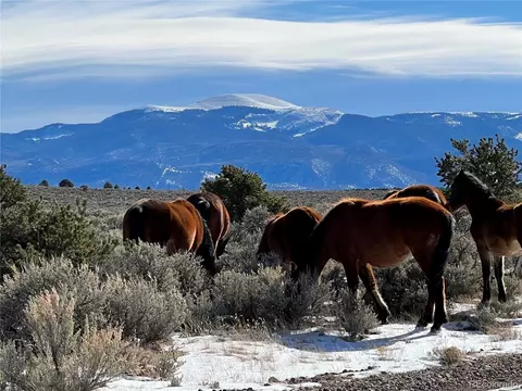 80 Acres Elk Ln, San Luis, CO 81152