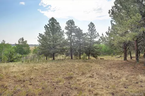 5543 Ranch Rd, Hartsel, CO 80449 photo 30