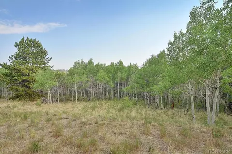 5543 Ranch Rd, Hartsel, CO 80449 photo 29