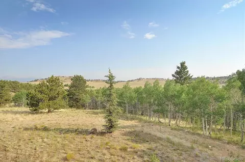 5543 Ranch Rd, Hartsel, CO 80449 photo 15