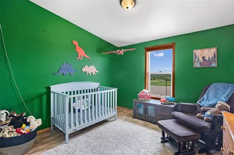 150 Will Scarlet Dr, Divide, CO 80814 photo 16