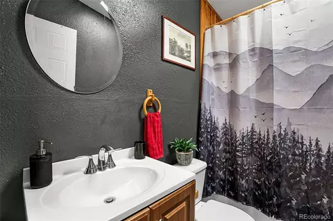 150 Will Scarlet Dr, Divide, CO 80814 photo 18