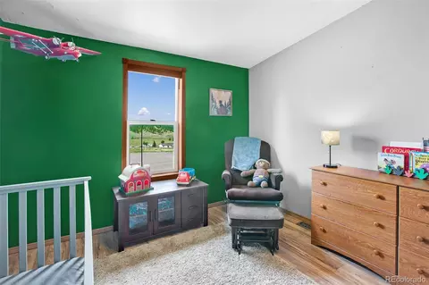 150 Will Scarlet Dr, Divide, CO 80814 photo 17