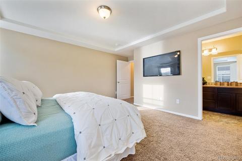 18139 E 47th Pl, Denver, CO 80249 photo 22