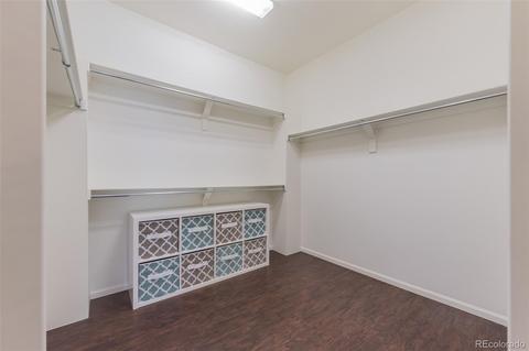18139 E 47th Pl, Denver, CO 80249 photo 18