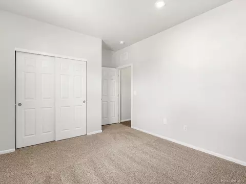 1611 Nathan River Dr, Windsor, CO 80550 photo 29