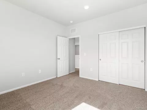 1611 Nathan River Dr, Windsor, CO 80550 photo 23