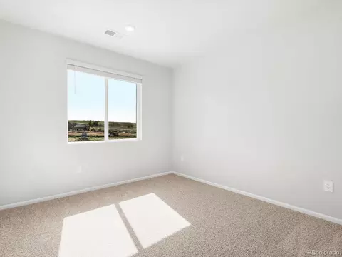 1611 Nathan River Dr, Windsor, CO 80550 photo 20