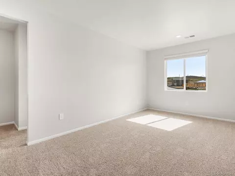 1611 Nathan River Dr, Windsor, CO 80550 photo 17