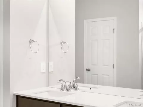 1611 Nathan River Dr, Windsor, CO 80550 photo 36