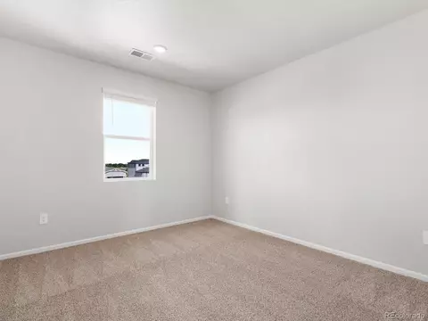 1611 Nathan River Dr, Windsor, CO 80550 photo 24