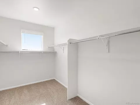 1611 Nathan River Dr, Windsor, CO 80550 photo 30