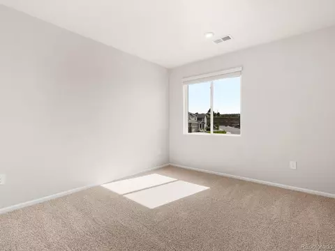 1611 Nathan River Dr, Windsor, CO 80550 photo 22