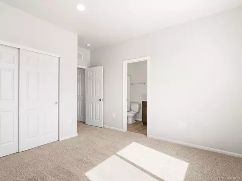 1611 Nathan River Dr, Windsor, CO 80550 photo 21