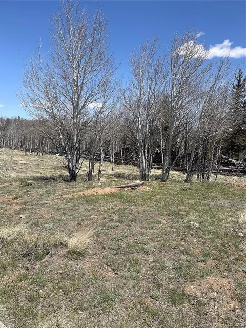 83 Pelican Pl, Como, CO 80432