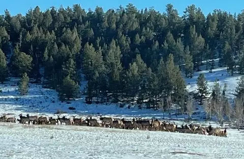 20400 Us-285, Fairplay, CO 80440 photo 3