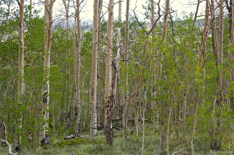 20400 Us-285, Fairplay, CO 80440 photo 17