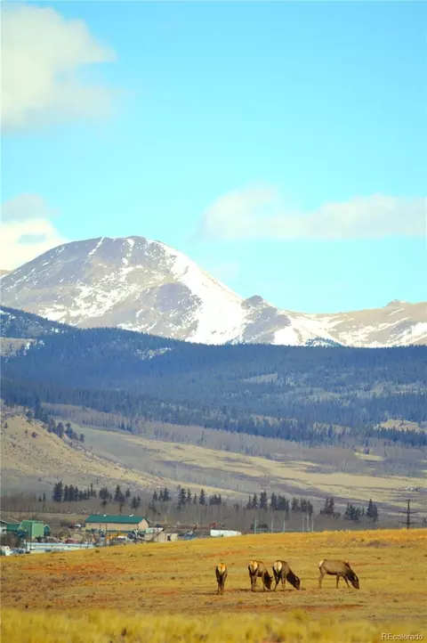 20400 Us-285, Fairplay, CO 80440 photo 12