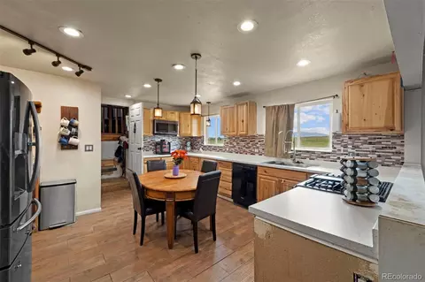16741 E Us Highway 24, Peyton, CO 80831 photo 25