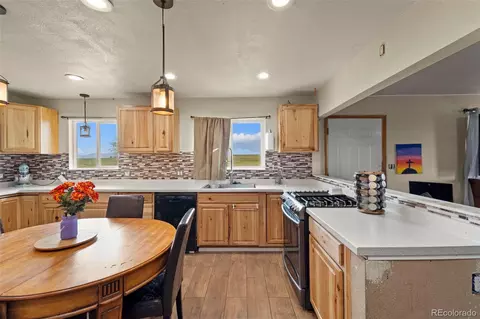 16741 E Us Highway 24, Peyton, CO 80831 photo 26