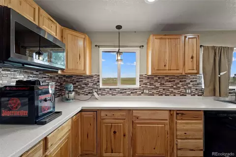 16741 E Us Highway 24, Peyton, CO 80831 photo 28