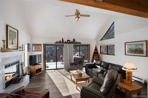 Living - 170 Ridge Rd, Divide, CO 80814 photo 3 of 5