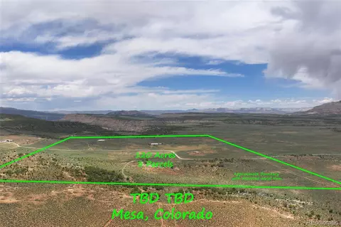 tbd 40 Acres, Mesa, CO 81643 photo 7