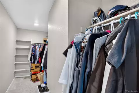 Other - 914 Charlton Dr, Windsor, CO 80550 photo 5 of 7