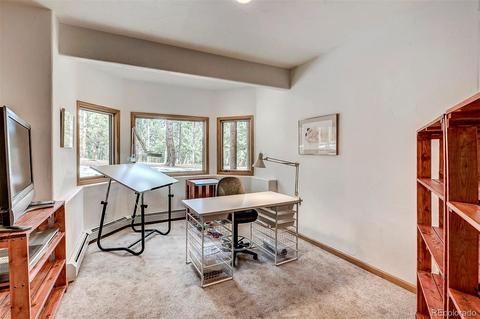 1734 Mount Evans Blvd, Pine, CO 80470 photo 23