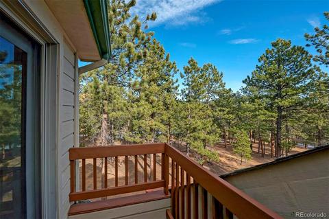 1734 Mount Evans Blvd, Pine, CO 80470 photo 17