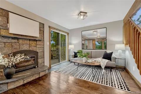 19 E Pine Dr, Bailey, CO 80421 photo 10