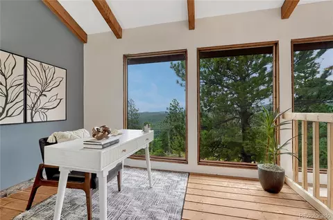 19 E Pine Dr, Bailey, CO 80421 photo 25