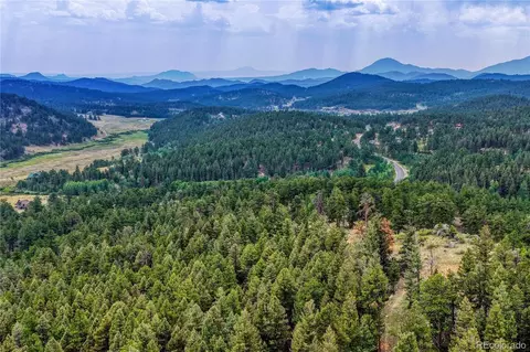 19 E Pine Dr, Bailey, CO 80421 photo 41