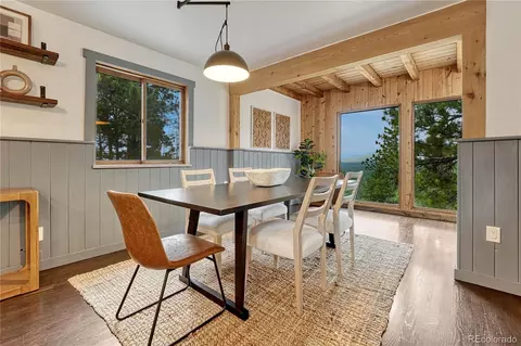 19 E Pine Dr, Bailey, CO 80421 photo 7