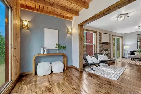 19 E Pine Dr, Bailey, CO 80421 photo 15