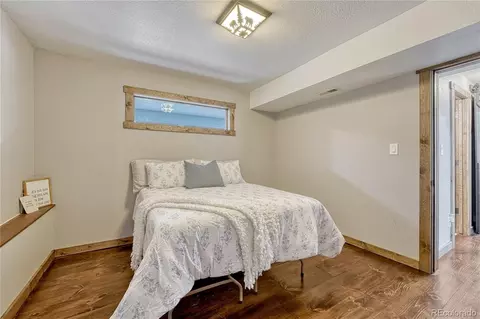 19 E Pine Dr, Bailey, CO 80421 photo 30