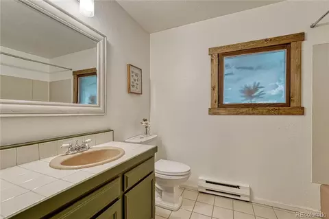 19 E Pine Dr, Bailey, CO 80421 photo 31