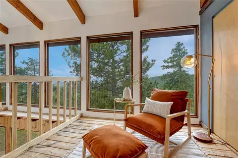 19 E Pine Dr, Bailey, CO 80421 photo 24