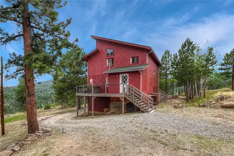 19 E Pine Dr, Bailey, CO 80421 photo 38