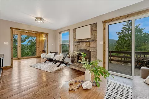 19 E Pine Dr, Bailey, CO 80421 photo 12