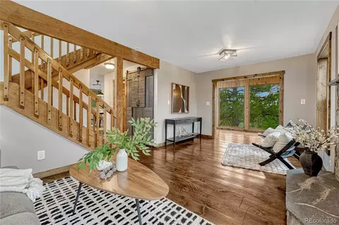 19 E Pine Dr, Bailey, CO 80421 photo 14