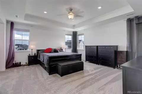 22593 E Piccolo Way, Aurora, CO 80016 photo 19