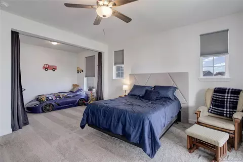 22593 E Piccolo Way, Aurora, CO 80016 photo 37