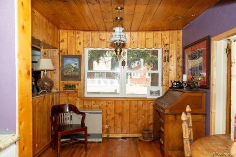 202 E 2nd St, Creede, CO 81130 photo 17