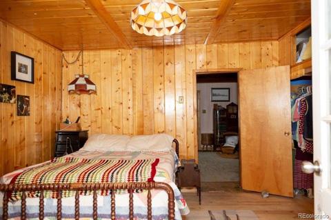 202 E 2nd St, Creede, CO 81130 photo 14