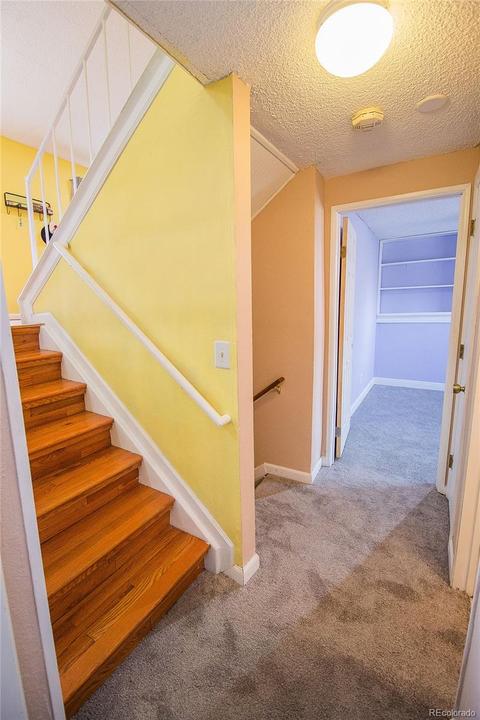 4755 S Tabor St, Morrison, CO 80465 photo 23
