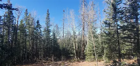 lot6581 Ackerman Rd, Fort Garland, CO 81133