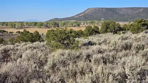 lot3714 Hartgrave Rd, Fort Garland, CO 81133